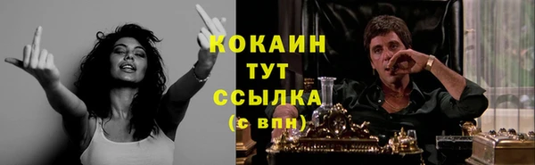 прущие крисы Заводоуковск