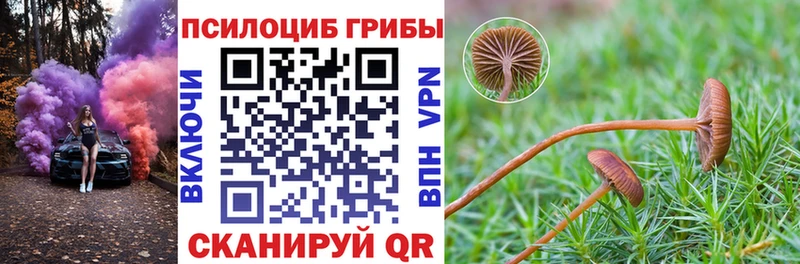 Галлюциногенные грибы GOLDEN TEACHER  Купить где  Выкса 